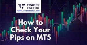How to Check Your Pips on MT5