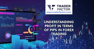 Understanding Profit in Terms of Pips in Forex Trading-TraderFactor