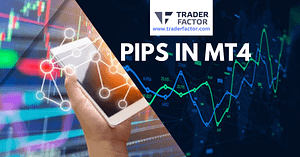 Viewing Pips in MT4 A Quick Guide-TraderFactor