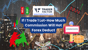 If you trade 1 Lot, you may wonder how much Hot Forex deducts in commission. Understanding this is essential.