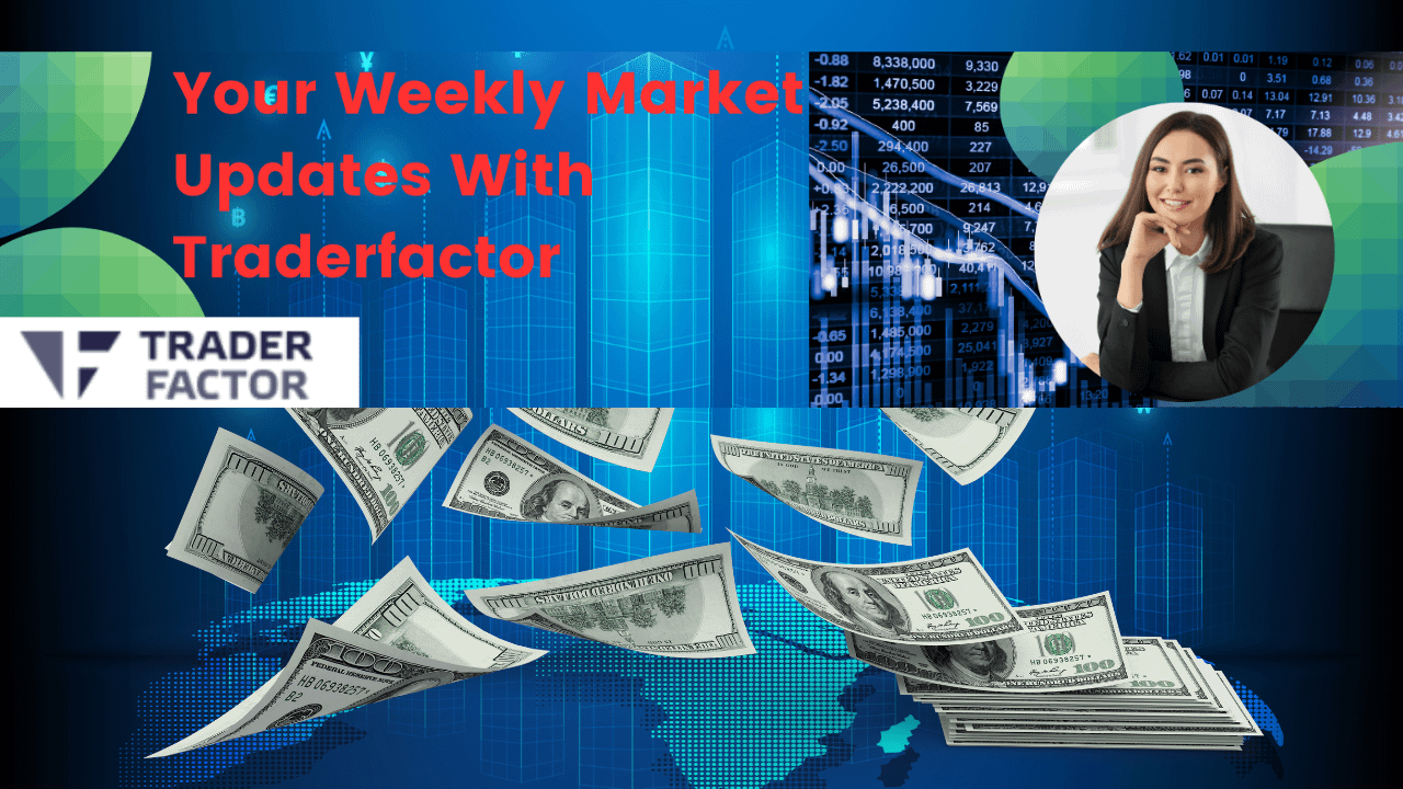 Weekly Market Updates with Traderfactor