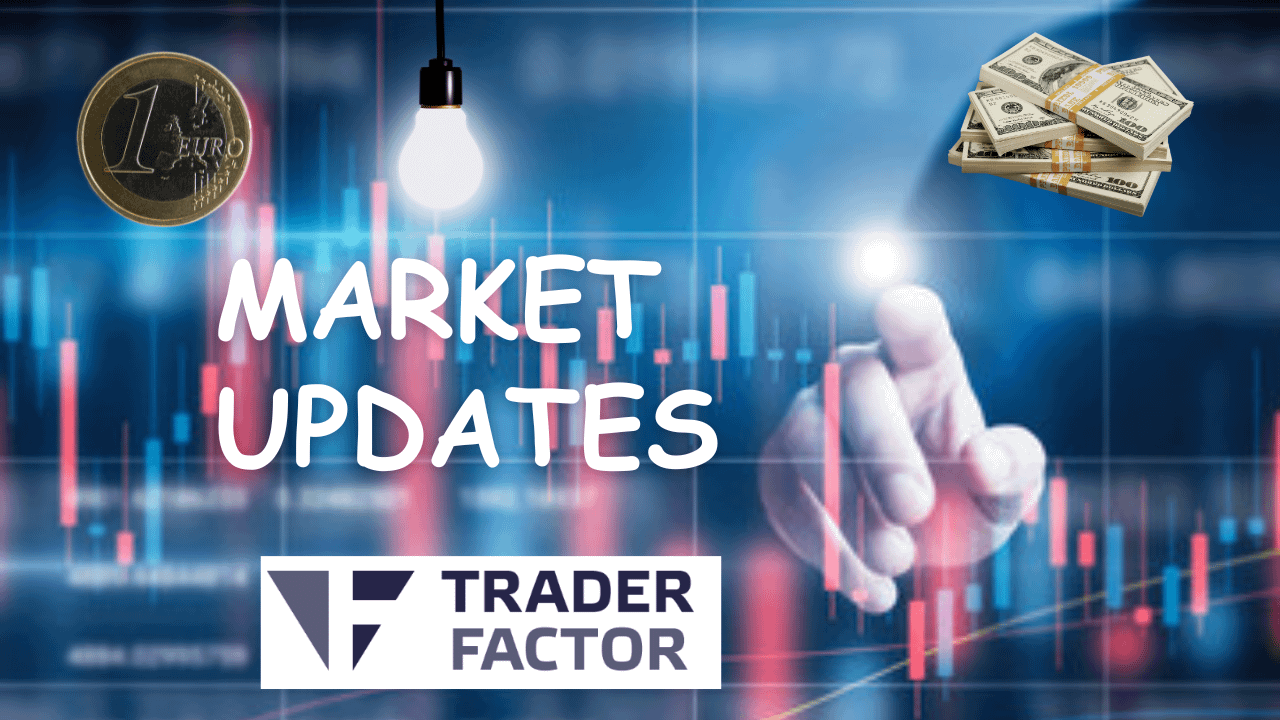 Market Updates in Trader Factor